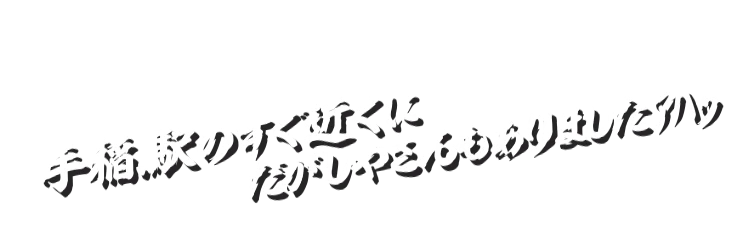 手稲.駅のすぐ近くにだがしやさんもありましたｱﾊｯ